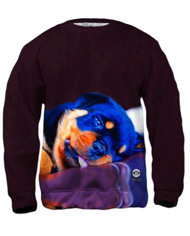 Price Slash Long Night Rottweiler