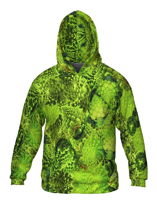 Exclusive Online Offer Fractal Broccoli