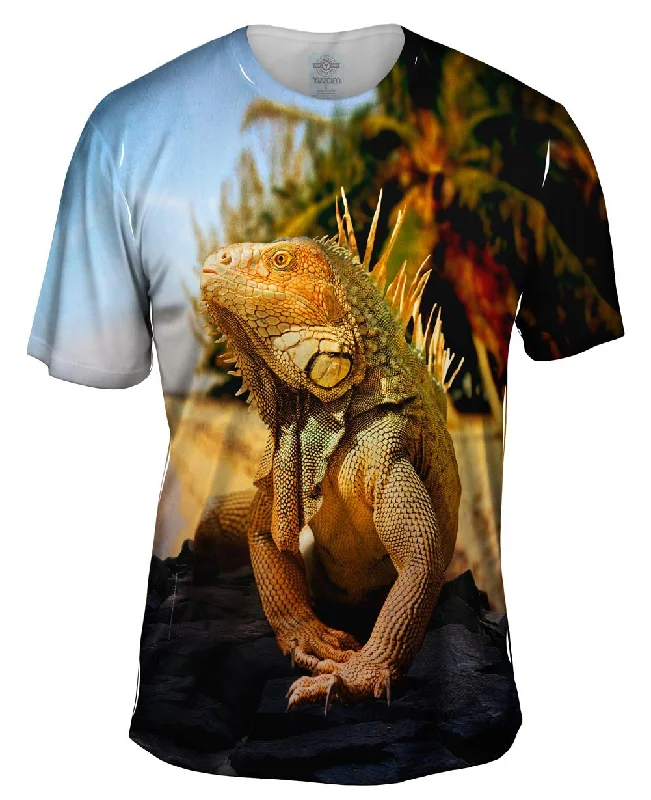Deal Zone Coast Beach Iguana