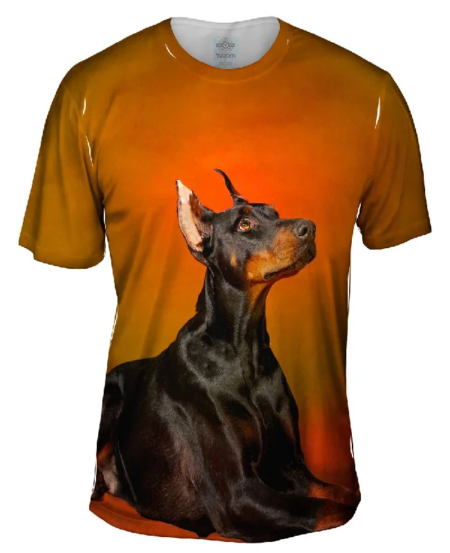 Overstock Sale Doberman Pinscher Rouge