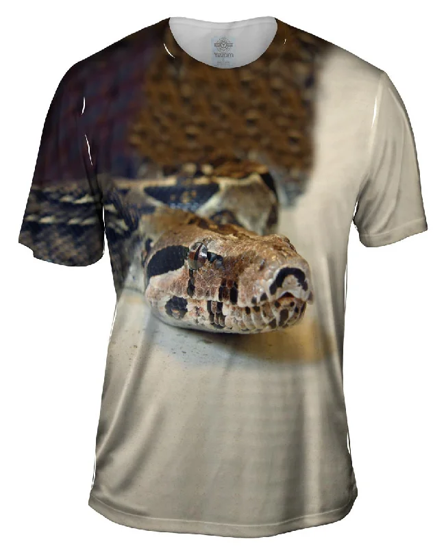 Final Markdown Python Slithering Snake