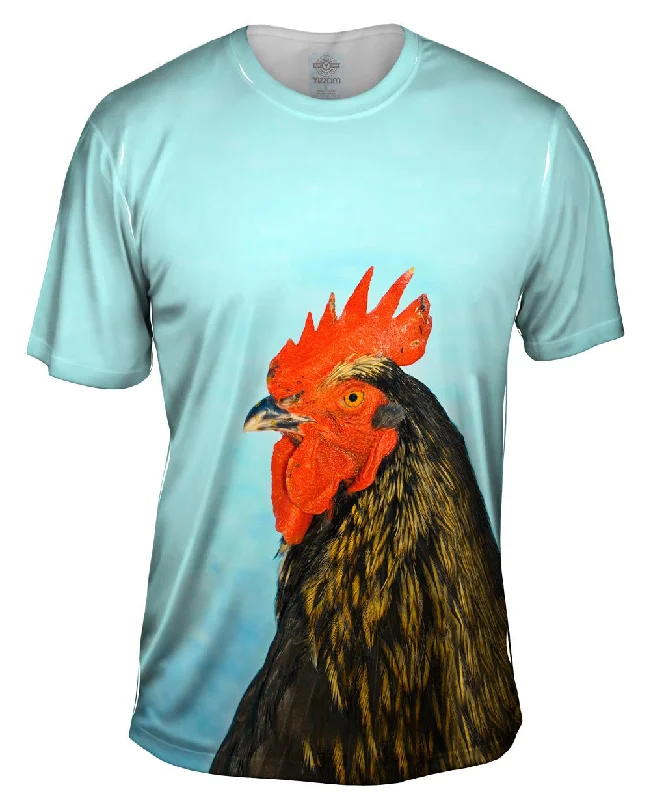 Mega Discount Rooster Chicken Winter